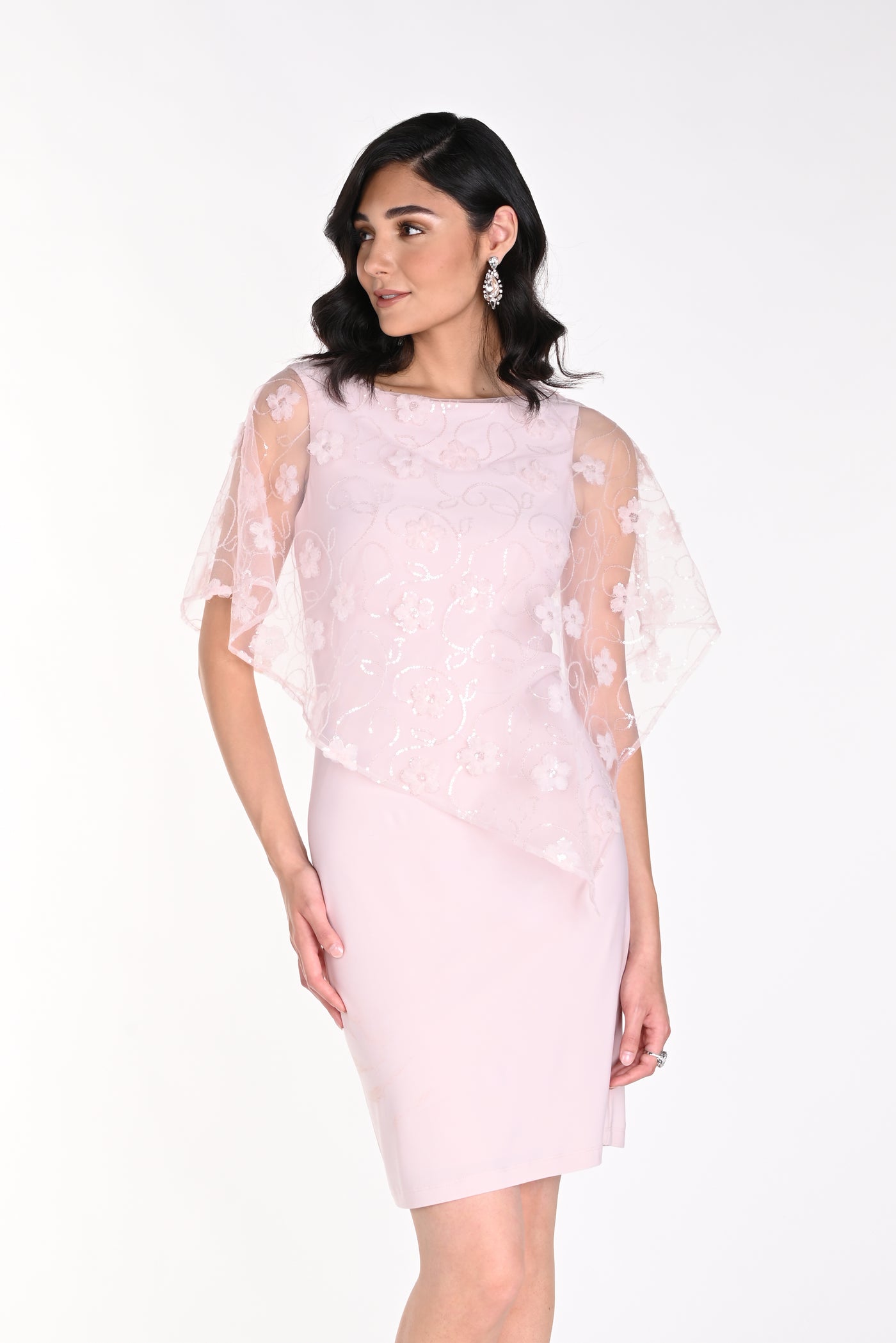 Laced Chiffon Overlay Dress Frank Lyman