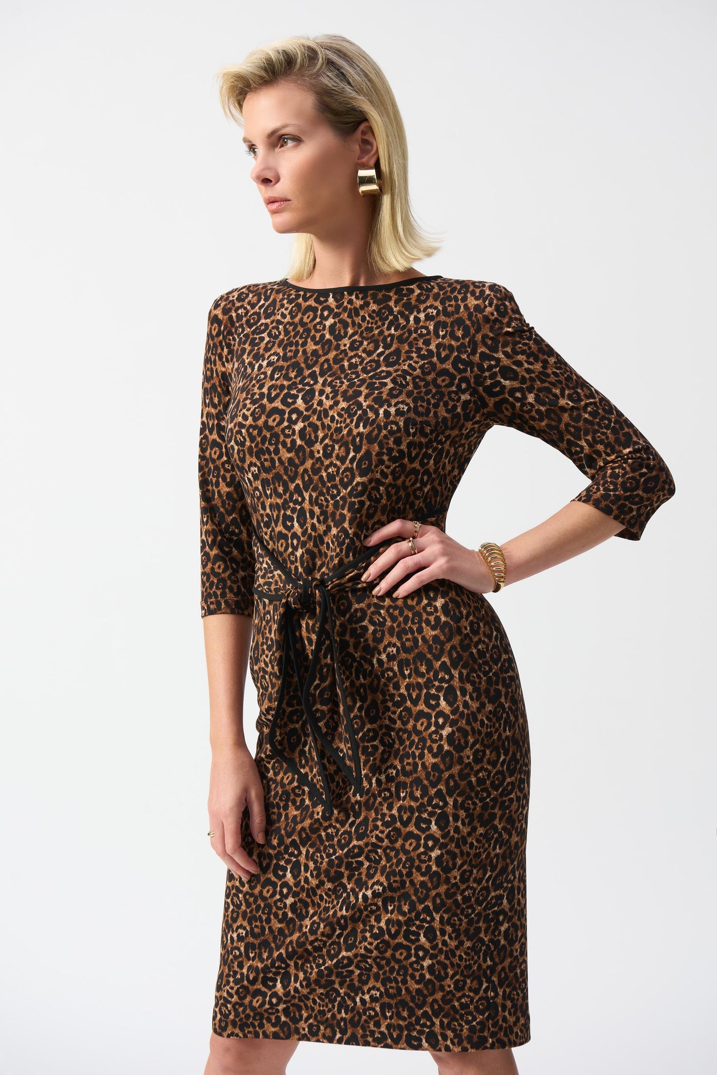 Silky Knit Animal Print Sheath Dress Joseph Ribkoff