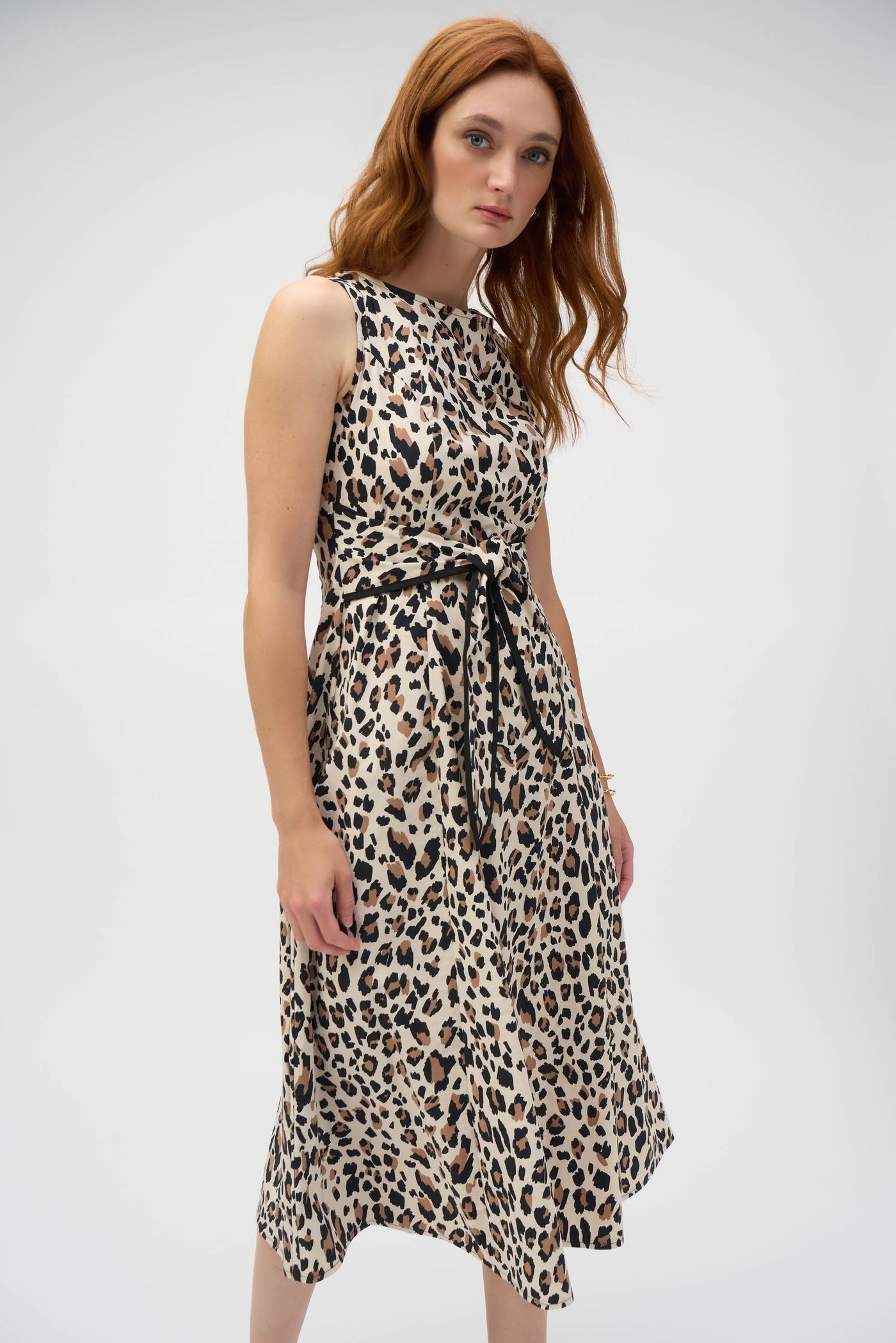 Poplin Animal Print Fit and Flare Dress